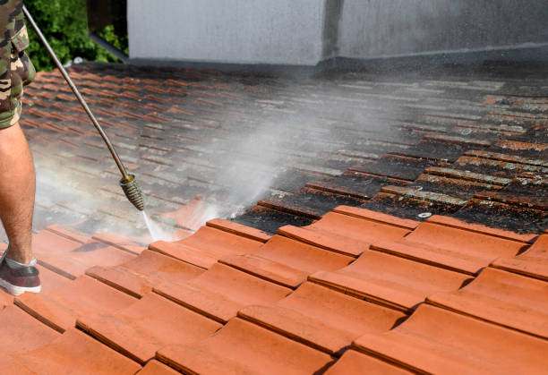 Local Pressure Washing Services in Saugerties South, NY