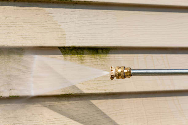 Best Roof Pressure Washing  in Saugerties South, NY